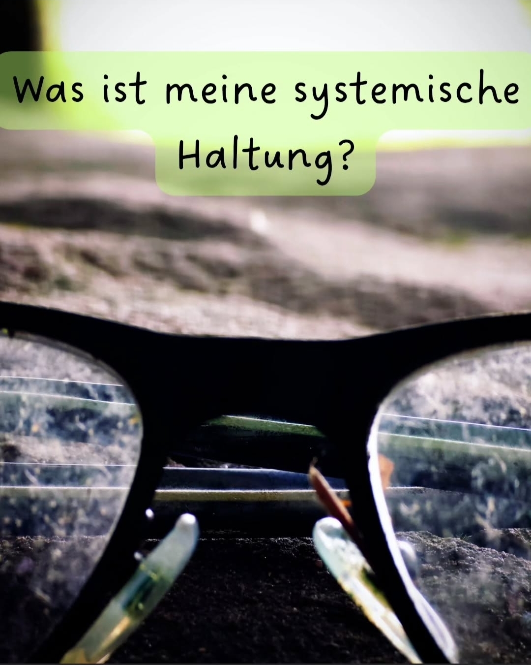 Mehr über den Artikel erfahren Meine Haltung